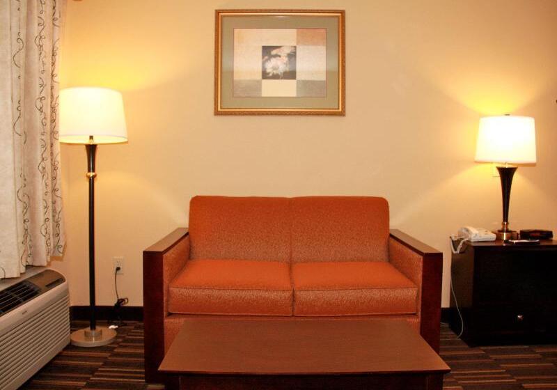 חדר סטנדרט עם מיטת קינג, Best Western Greenville Inn