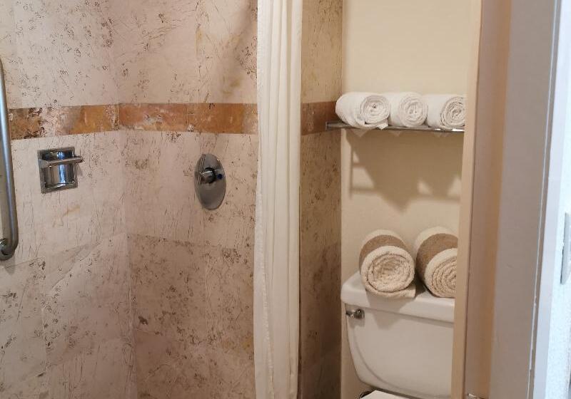 إستوديو قياسى, Canto Del Sol Puerto Vallarta All Inclusive