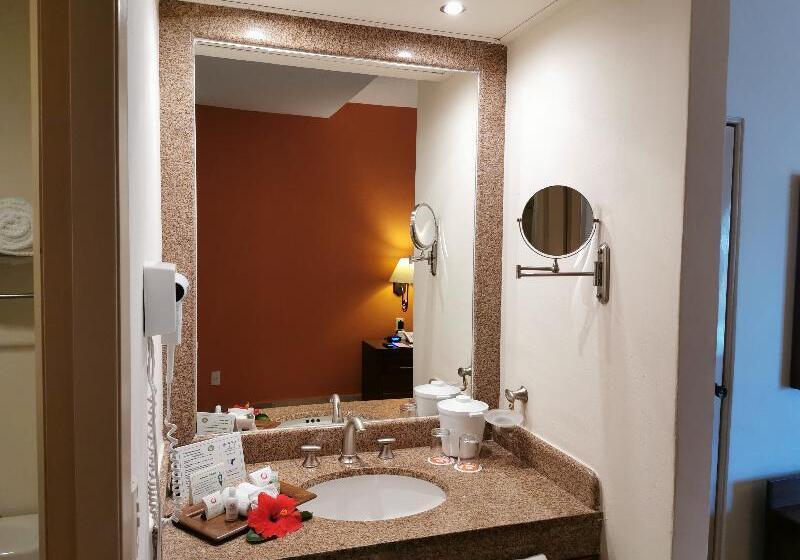 Standard Szoba, Canto Del Sol Puerto Vallarta All Inclusive