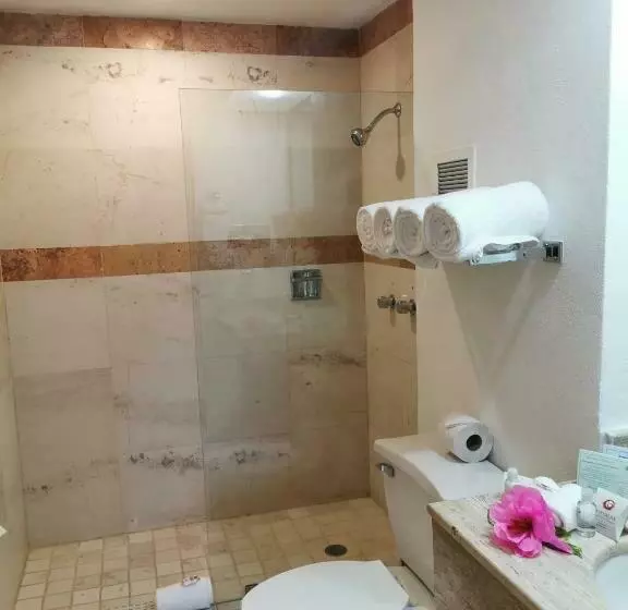 سوییت, Canto Del Sol Puerto Vallarta All Inclusive