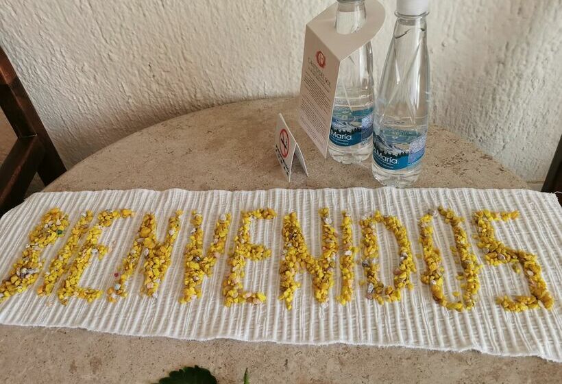 Standard-studio, Canto Del Sol Puerto Vallarta All Inclusive