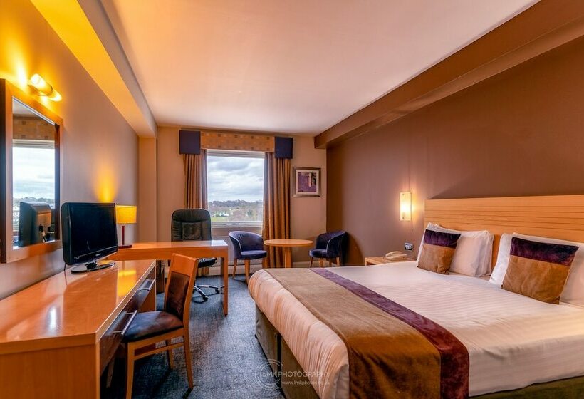 수피리어 룸, City