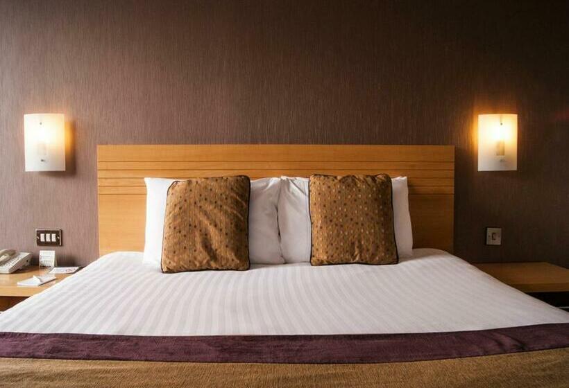 스탠다드 룸, City