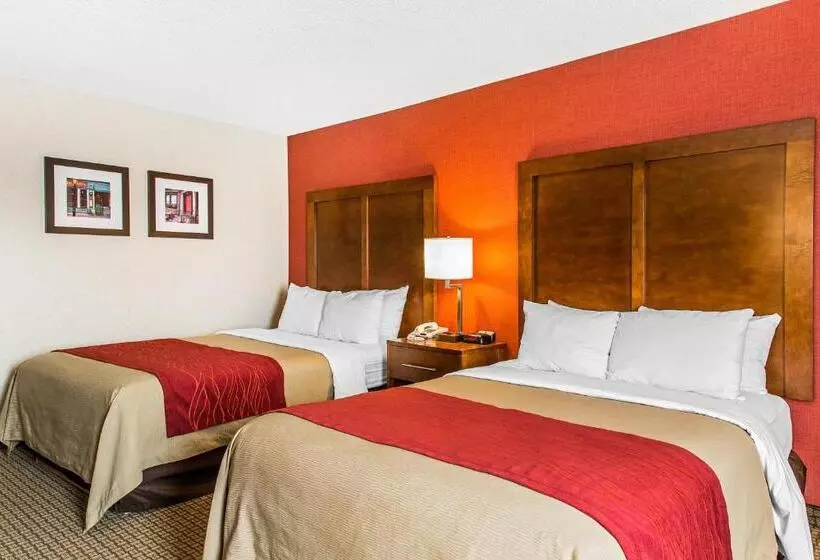 اتاق استاندارد با 2 تخت دوبل, Comfort Inn Boston