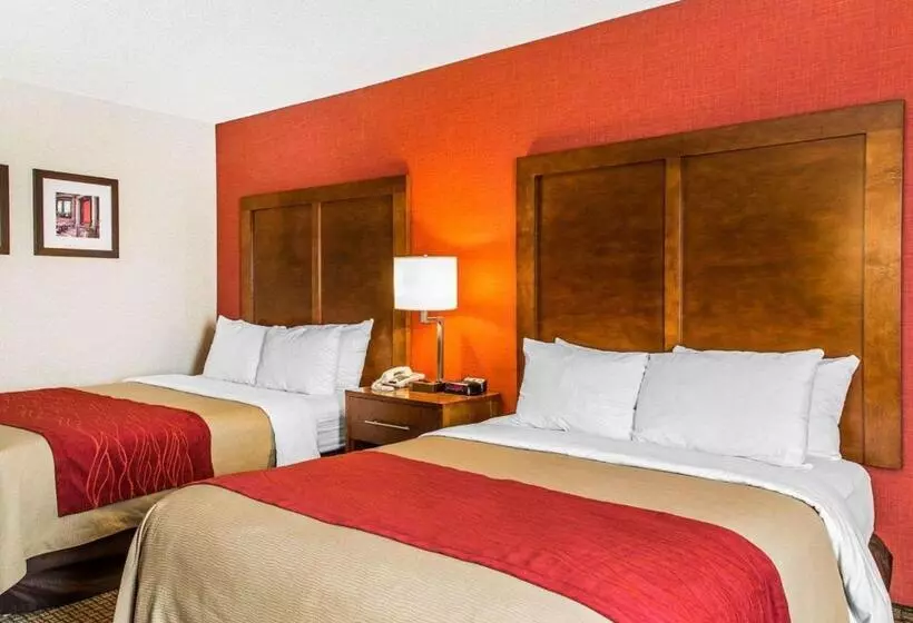 اتاق استاندارد با 2 تخت دوبل, Comfort Inn Boston