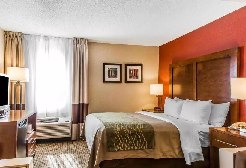 اتاق استاندارد با تخت بزرگ, Comfort Inn Boston