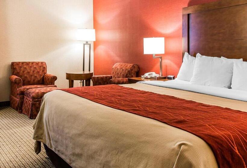스탠다드 룸 킹사이즈 침대, Comfort Inn Boston