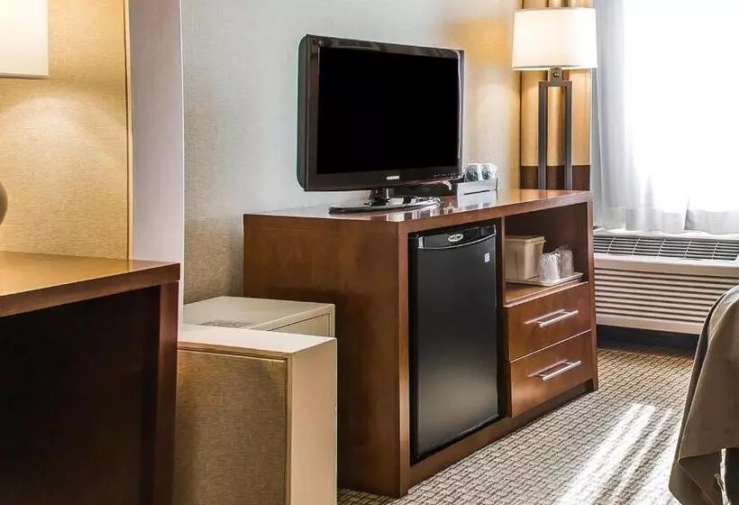 اتاق استاندارد با تخت بزرگ, Comfort Inn Boston