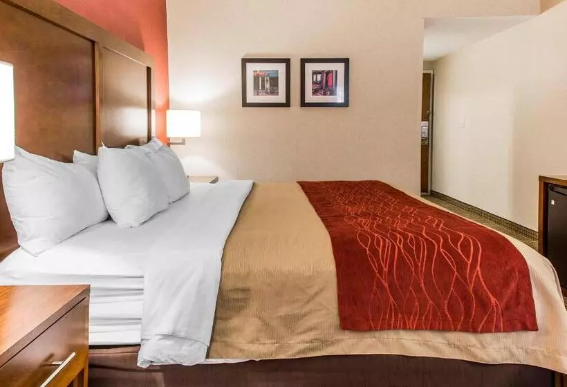 اتاق استاندارد با تخت بزرگ, Comfort Inn Boston