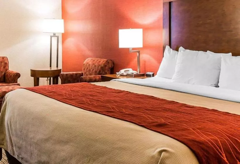 اتاق استاندارد با تخت بزرگ, Comfort Inn Boston
