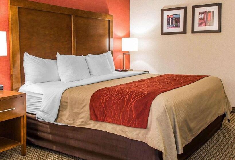 스탠다드 룸 킹사이즈 침대, Comfort Inn Boston