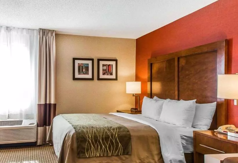 اتاق استاندارد, Comfort Inn Boston