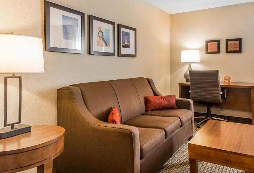 Номер бизнес-класса, Comfort Inn Boston