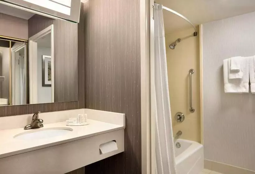 障害者適応デラックスルーム, Courtyard By Marriott Tysons Mclean