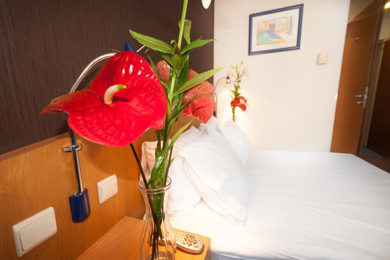 غرفة قياسية, Express Kraków