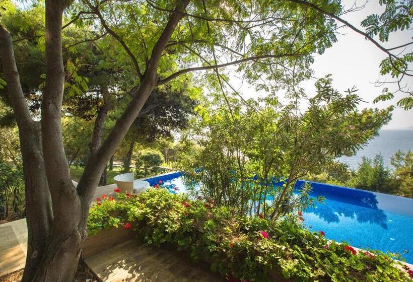 Вилла 1 Спальня, Pine Bay Holiday Resort