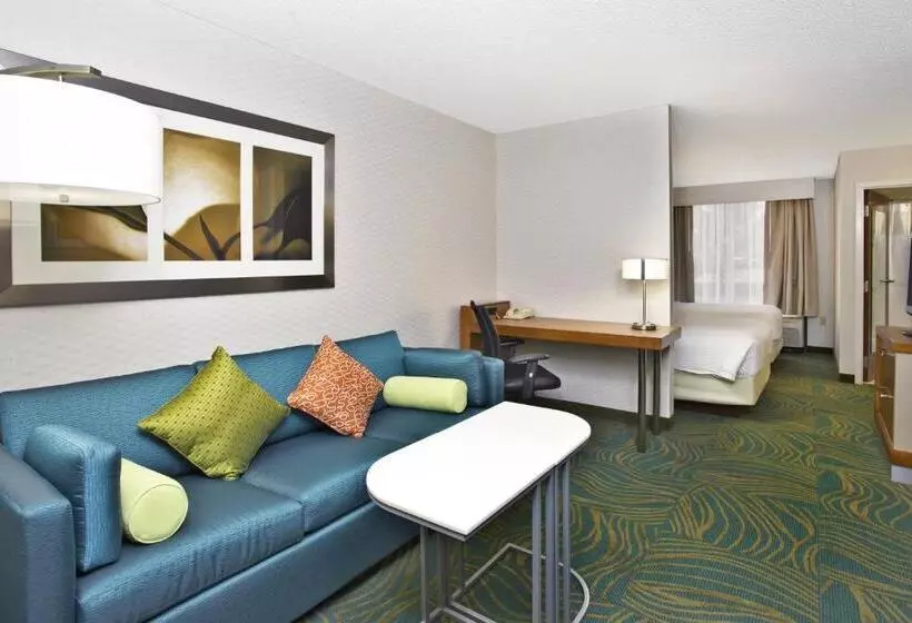 استودیوی استاندارد, Springhill Suites By Marriott Chicago Elmhurst Oakbrook Area