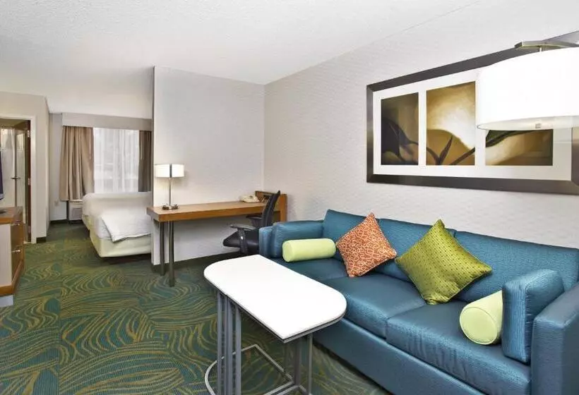 استودیوی استاندارد, Springhill Suites By Marriott Chicago Elmhurst Oakbrook Area