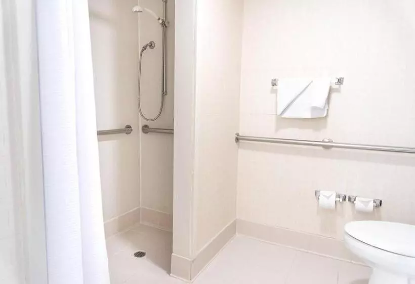 استودیو استاندارد با تخت کینگ, Springhill Suites By Marriott Chicago Elmhurst Oakbrook Area