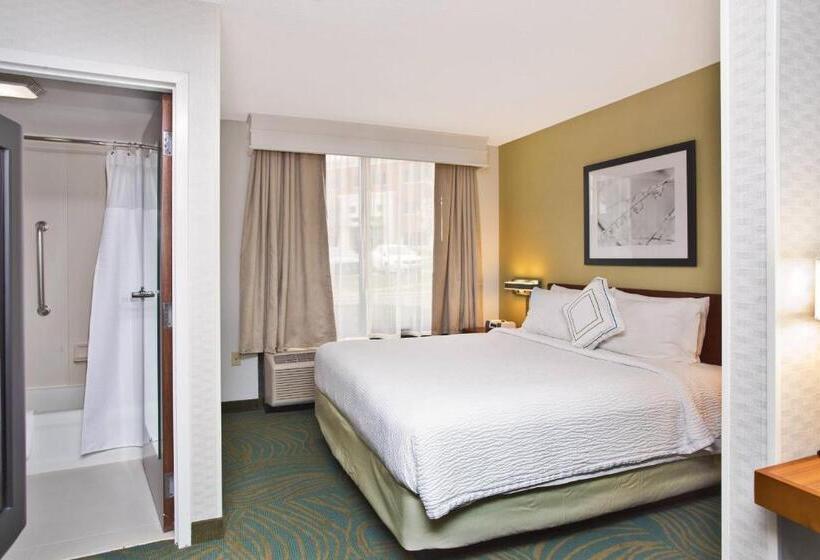 Standaard Studio met Kingsize Bed, Springhill Suites By Marriott Chicago Elmhurst Oakbrook Area