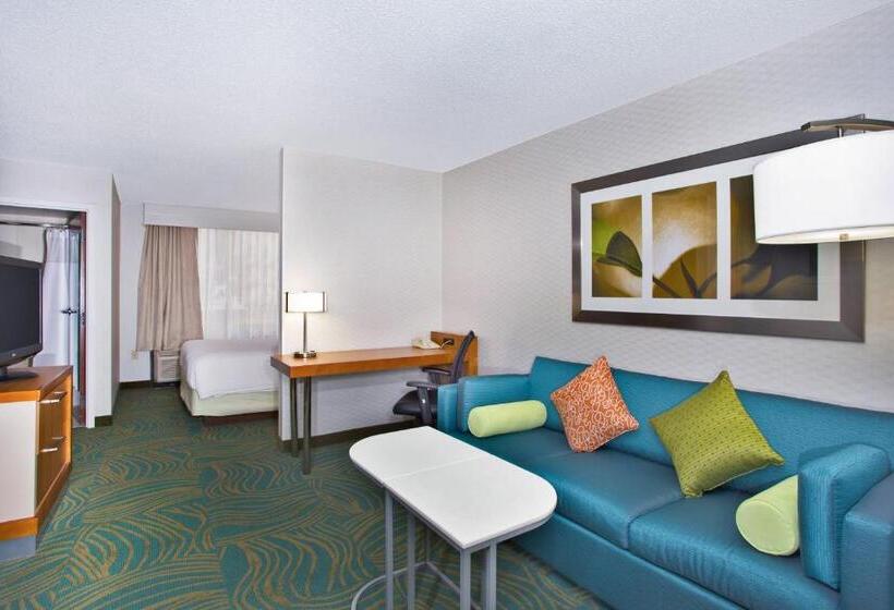 스탠다드 스튜디오 킹침대, Springhill Suites By Marriott Chicago Elmhurst Oakbrook Area