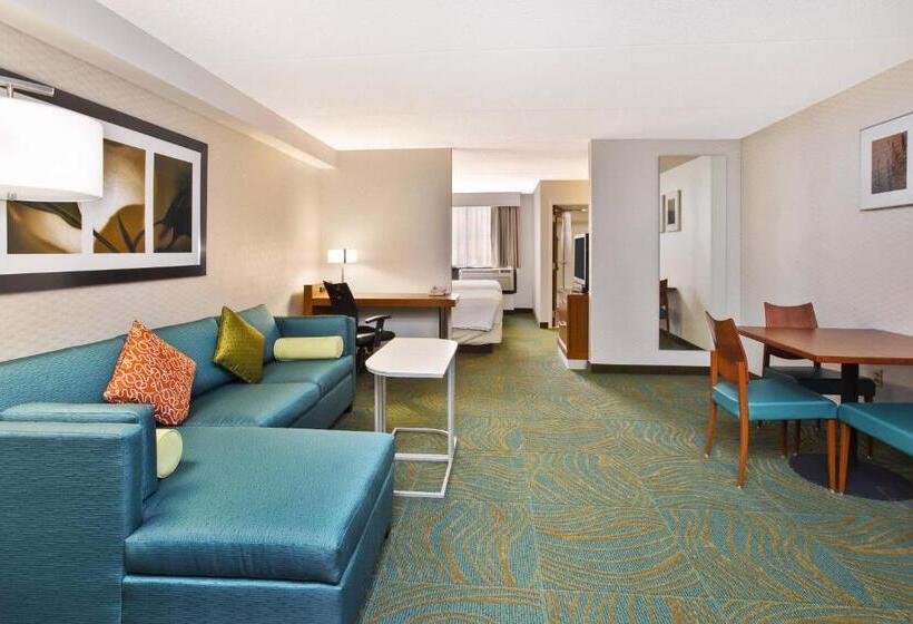 이그제큐티브 스튜디오, Springhill Suites By Marriott Chicago Elmhurst Oakbrook Area