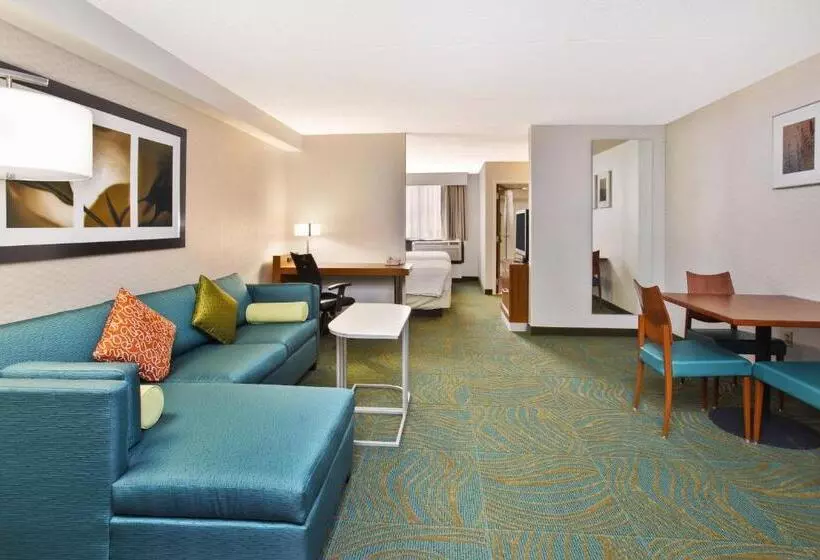 استودیو اجرایی, Springhill Suites By Marriott Chicago Elmhurst Oakbrook Area