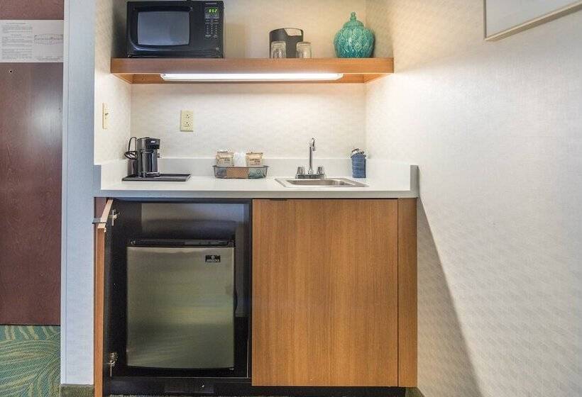 Executive Studio, Springhill Suites By Marriott Chicago Elmhurst Oakbrook Area