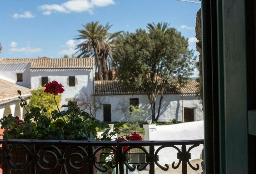 חדר סטנדרט, Cortis Antigas