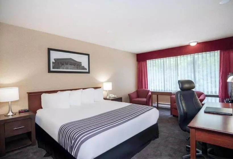 اتاق استاندارد, Sandman Hotel Castlegar