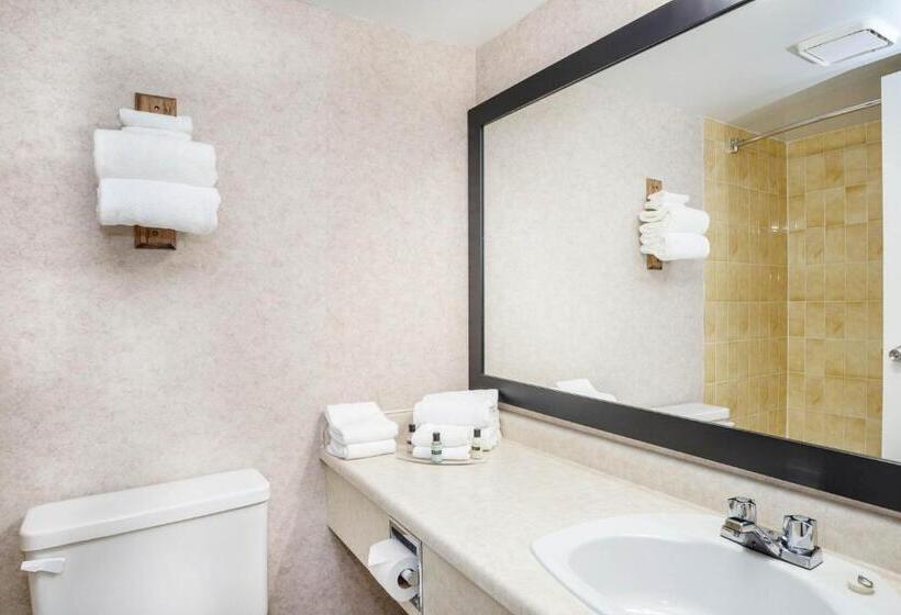 חדר סטנדרט שתי מיטות זוגיות, Sandman Hotel Castlegar