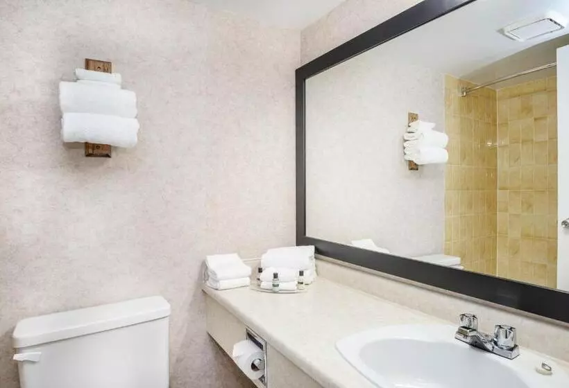 اتاق استاندارد با 2 تخت دوبل, Sandman Hotel Castlegar