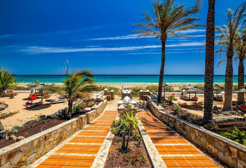 小型套房, Sbh Costa Calma Palace Thalasso & Spa