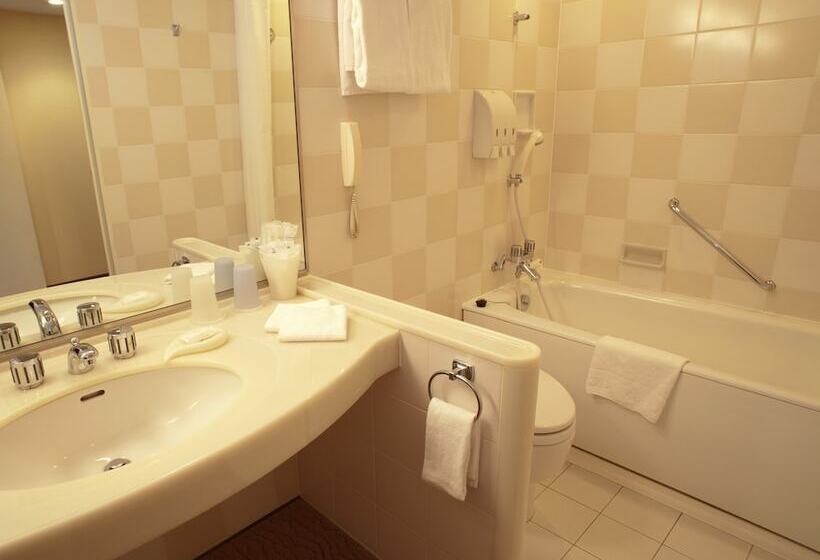 豪华房间, Tokyo Dome