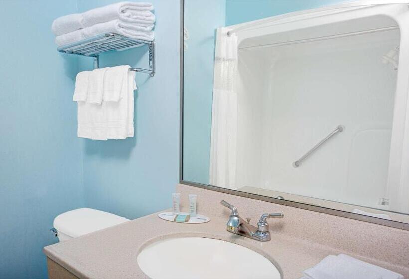 غرفة قياسية لذوى الاحتياجات الخاصة, Travelodge By Wyndham Bishop