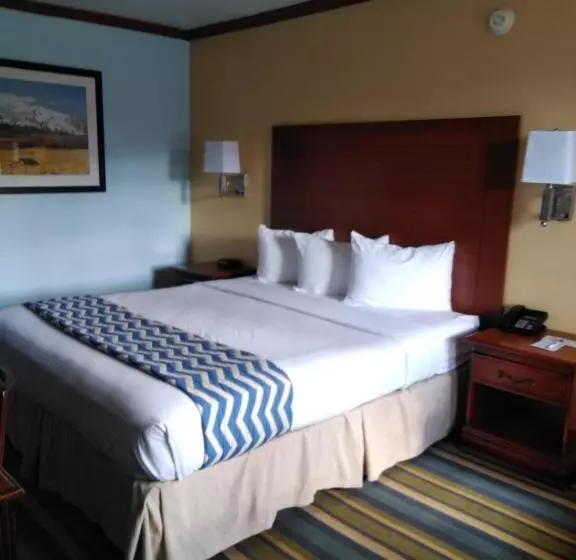 اتاق استاندارد با تخت بزرگ, Travelodge By Wyndham Bishop