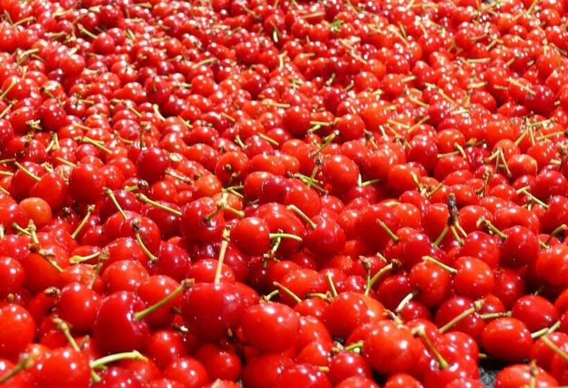 شقة 3 غرف, Rooiberg View Clarens