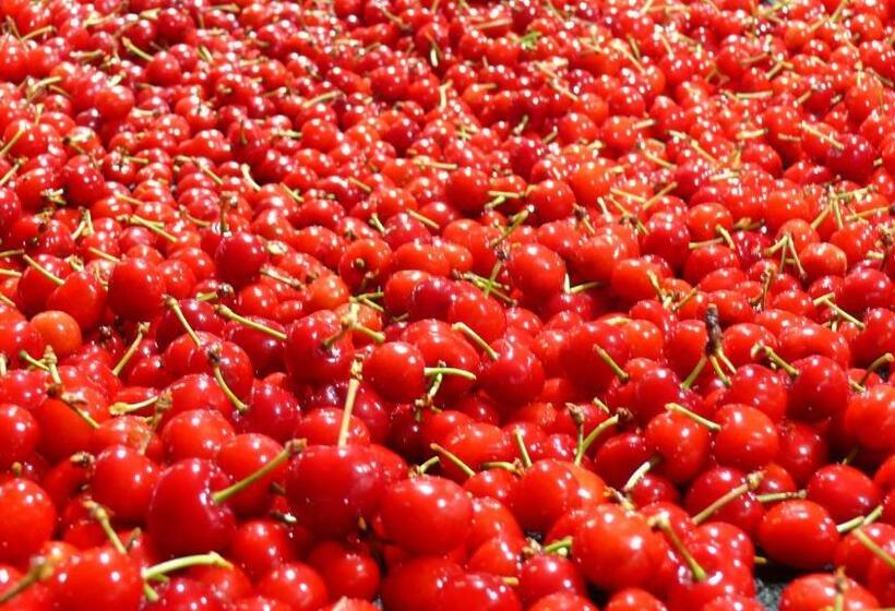 غرفة قياسية بالطابق الأرضى, Rooiberg View Clarens