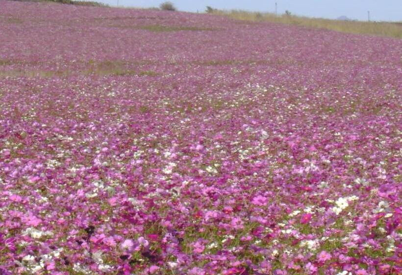 스탠다드 룸, Rooiberg View Clarens