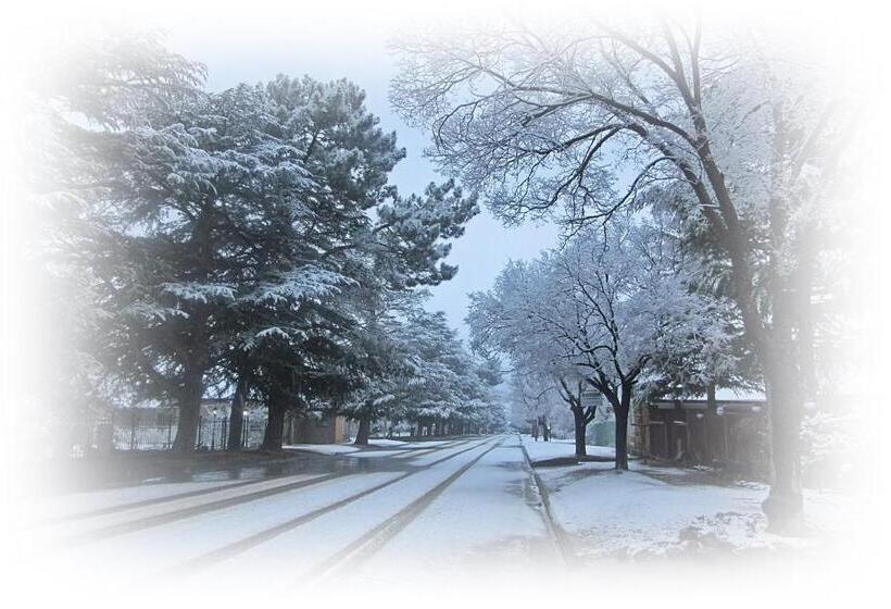 غرفة قياسية, Rooiberg View Clarens