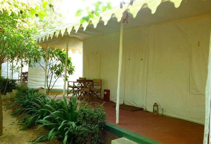Standard Tent, Madho Bagh