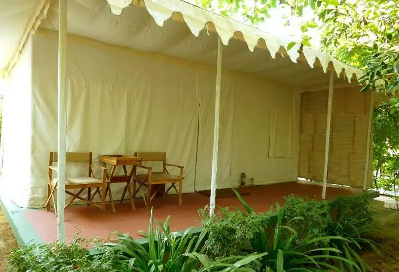 Standard Tent, Madho Bagh
