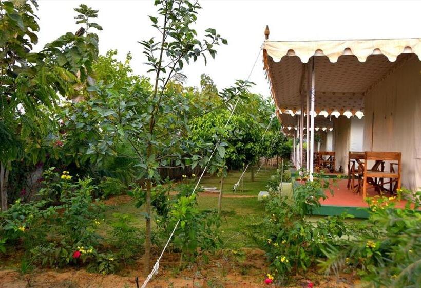 كوخ قياسي, Madho Bagh