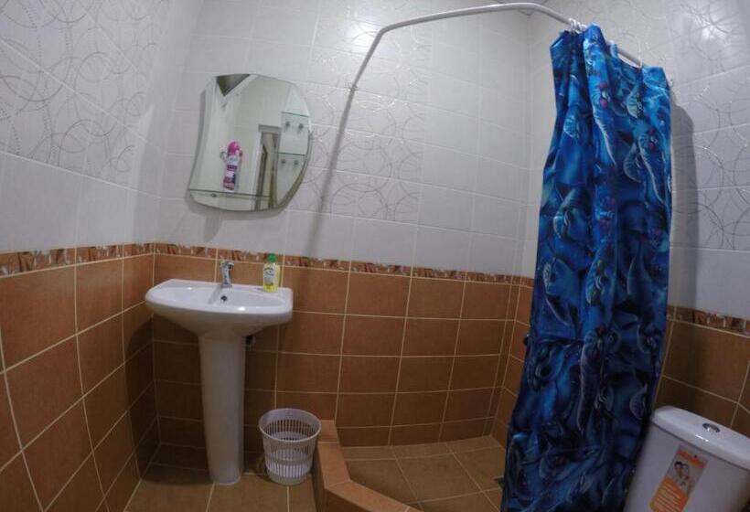 اتاق استاندارد, Alan