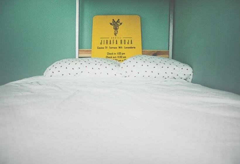 Номер Стандарт Совместная Ванная, Monkey Safari Hostel