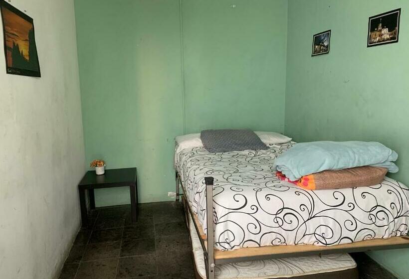 Номер Стандарт Совместная Ванная, Monkey Safari Hostel