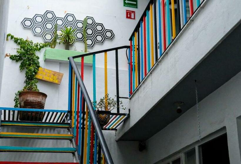 Номер Стандарт Совместная Ванная, Monkey Safari Hostel