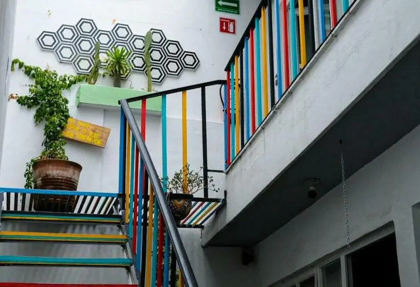 اتاق استاندارد با سرویس بهداشتی مشترک, Monkey Safari Hostel