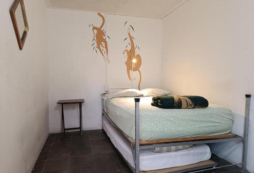 اتاق استاندارد با سرویس بهداشتی مشترک, Monkey Safari Hostel