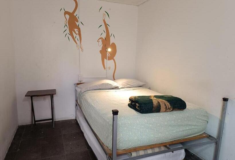 Номер Стандарт Совместная Ванная, Monkey Safari Hostel